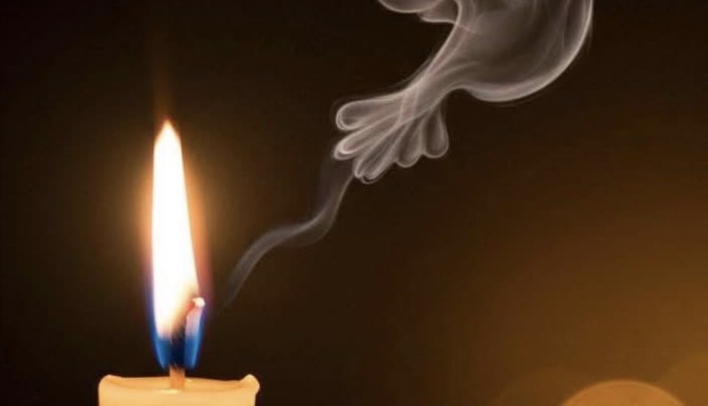 In Loving Memory of Dr. Bartholomew Hott