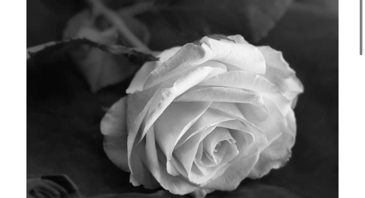 In Loving Memory of Glenn Cabatbat