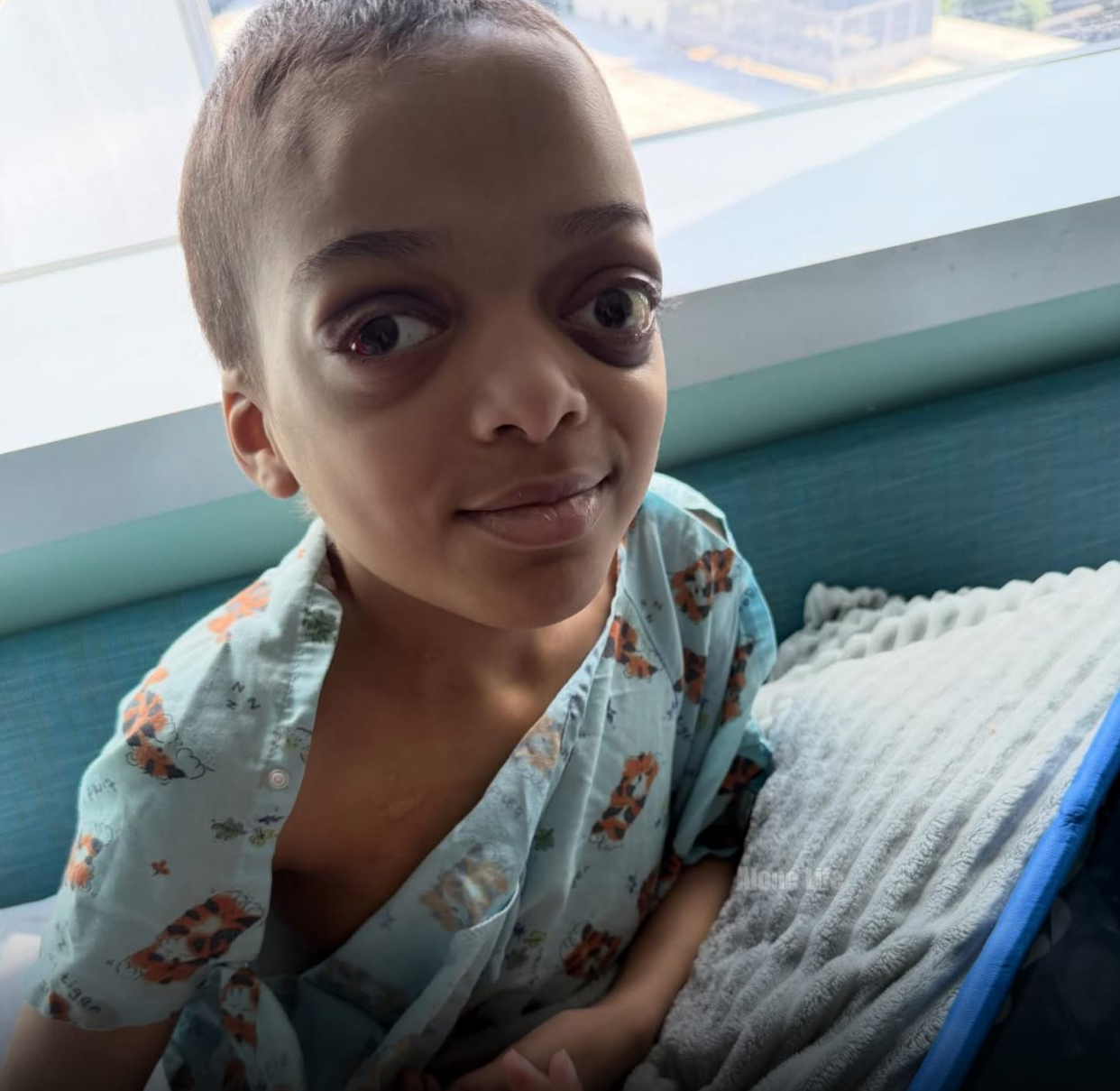 In Loving Memory of Jaxen