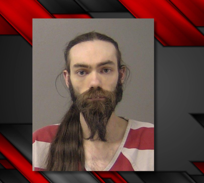 In Loving Memory of Alexandra Wilson