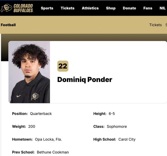 In Loving Memory of Dominiq Ponder