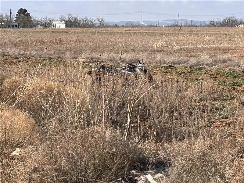 In Loving Memory of a Young Dyess Airman